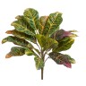 Кротон куст зелёно-жёлто-розовый в-30 см (Sensitive Botanic) 12/96