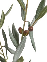 Ветвь оливы натуральной большая с плодами