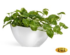Кашпо TREEZ Effectory Gloss Лодка малая Белый глянцевый лак  в-20 см, ш-18 см, д-37 см 4/4