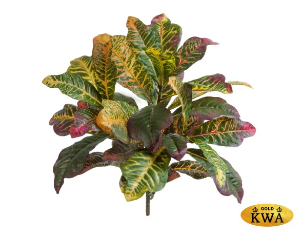 Кротон куст Мидл зелёно-жёлто-розовый в-45 см (Sensitive Botanic) 6/48