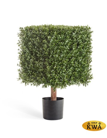 Самшит квадрат уличный новый на каркасе в-65 см, 40х40 см 1/1