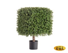 Самшит квадрат уличный новый на каркасе в-65 см, 40х40 см 1/1