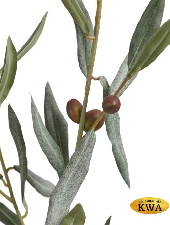 Ветка оливы натуральной (серия Prime) в-78 см