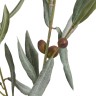 Ветка оливы натуральной (серия Prime) в-78 см