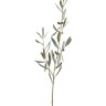 Ветка оливы натуральной (серия Prime) в-78 см