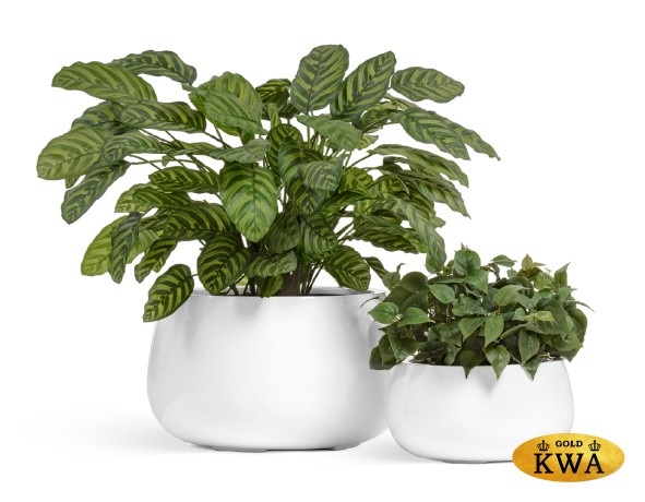 Кашпо TREEZ Effectory Gloss Низкая чаша Белый глянцевый лак в-18 см, д-34 см