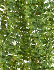 Лесной папоротник ампельный Гигант (пластик) в-140 см 6/24