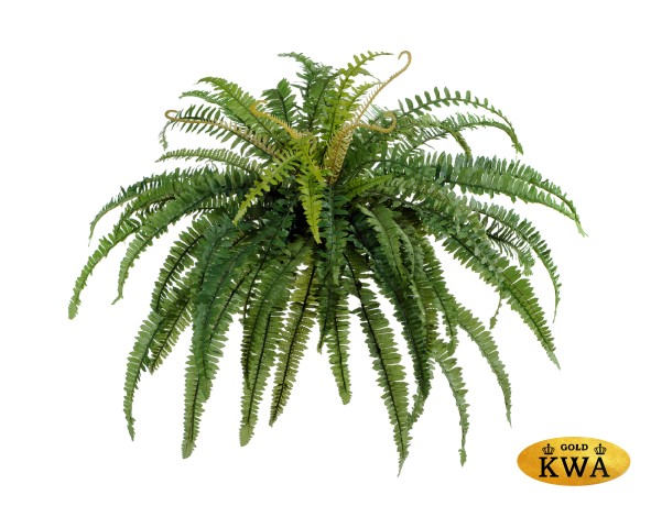 Папоротник лесной д-65 см, в-45 см (66 листов) 6/48