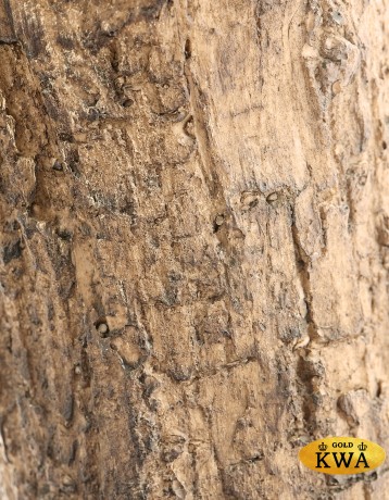 Олива Олден на толстом стволе в-210 см (сборная) 1/1