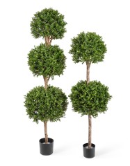 Самшит шар двойной уличный новый д-40,45 см 160 см 1/1