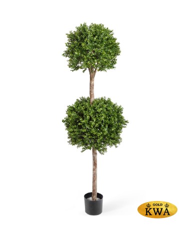 Самшит шар двойной уличный новый д-40,45 см 160 см 1/1