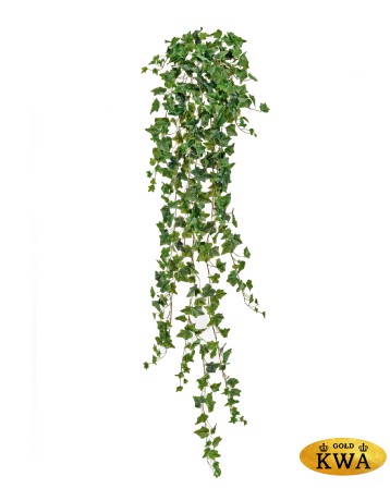 Английский плющ Олд Тэмпл зелёный Гигант в-170 см (423 листа) (Sensitive Botanic) 4/24