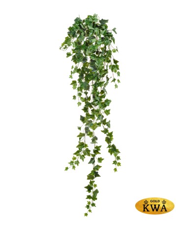 Английский плющ Олд Тэмпл зелёный Гигант в-170 см (423 листа) (Sensitive Botanic) 4/24