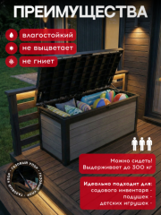 Сундук Cortina box 570L