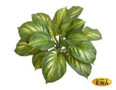 Хоста жёлто-зелёная большая д-60, в-40 см (Sensitive Botanic) 6/48