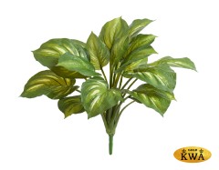Хоста жёлто-зелёная большая д-60, в-40 см (Sensitive Botanic) 6/48