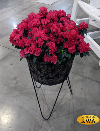 Заказать изготовление плетеных вазонов и кашпо любой формы