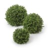 Самшитовый шар (Декор) д-20 см 6/24
