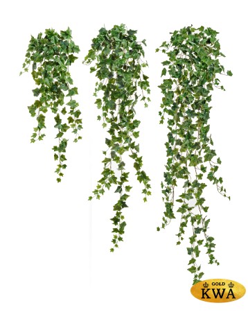 Английский плющ Олд Тэмпл зелёный в-90 см (191 лист) (Sensitive Botanic) 6/36