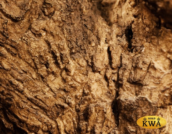 Олива Олден на толстом стволе в-270 см (сборная) 1/1