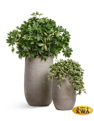 Кашпо TREEZ ERGO Graphics Высокая округлая чаша Капучино в-75 см, д-47 см