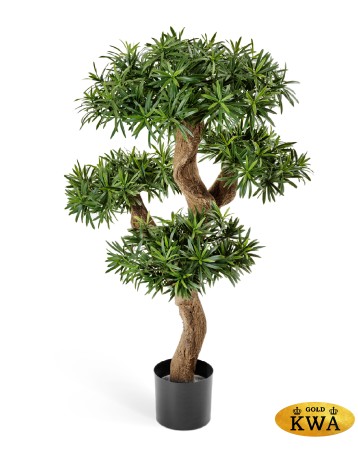 Подокарпус горный Элит в-110 см 2/2