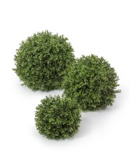 Самшитовый шар (Декор)  д-50 см 2/2