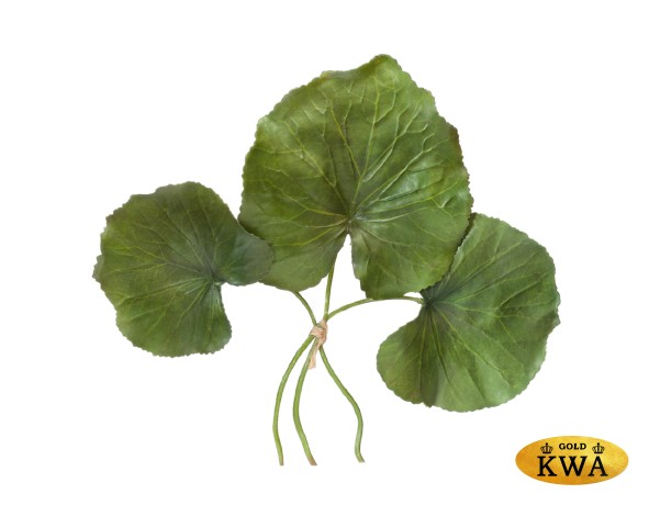 Листы Галакса зелёные 3 шт. в-24, д-от 10 до 12 см 24/96