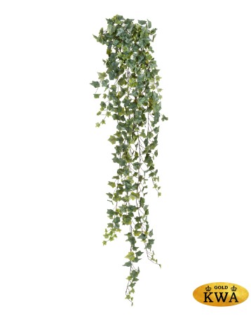 Английский плющ Олд Тэмпл припылённо-зелёный в-90 см (191 лист) (Sensitive Botanic) 6/36