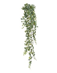 Английский плющ Олд Тэмпл припылённо-зелёный в-90 см (191 лист) (Sensitive Botanic) 6/36