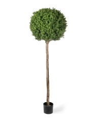 Самшит Тауэр уличный новый в-105 см 2/2