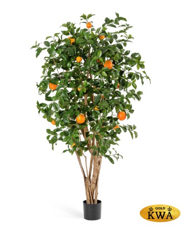 Апельсиновое дерево с плодами в-180 см 2/2