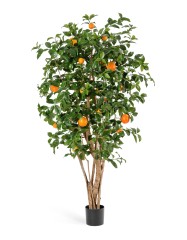 Апельсиновое дерево с плодами в-180 см 2/2