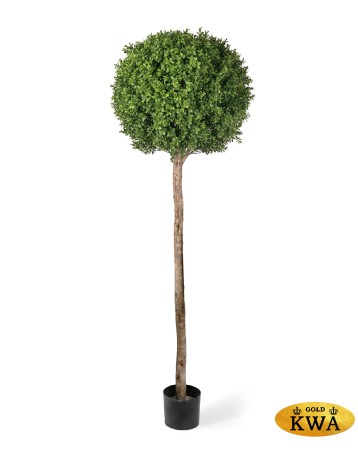 Самшит Тауэр уличный новый в-140 см 1/1