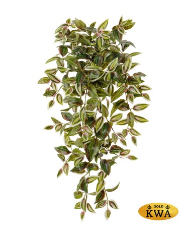 Традесканция ампельная зелёно-бело-розовая в-70 см (12 веток 262 листа) 6/48