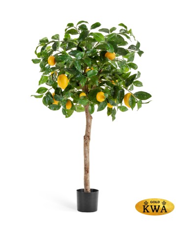 Лимонное дерево с плодами на штамбе в-110 см д-50 см 2/2