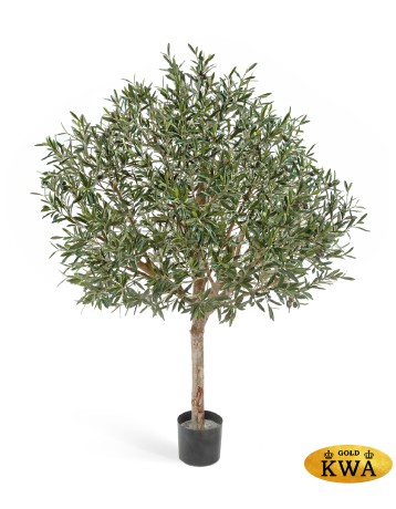 ЗЗЗОлива натур. топиари с плодами 210 см (сборная) 2/2