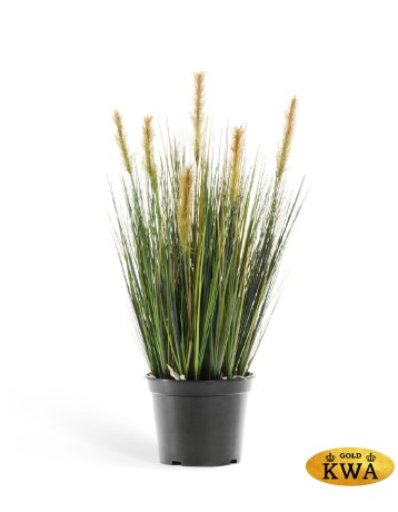 Трава Осока куст в-60 см зелёные султаны 6/6