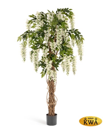 Вистерия лиана белая 180 см 2/2