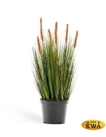 Трава Осока куст в-60 см коричневые султаны 6/6