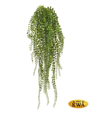 Пилея Глаукофилла зелёная ампельная (пластик) в-70 см12/48