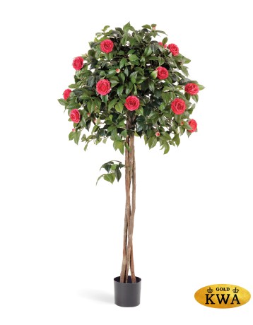 Камелия на штамбе тёмно-розовая в-130 см 2/2