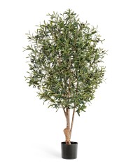 Олива Твист с плодами в-140 см 2/2