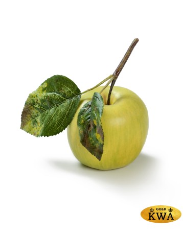 Яблоко нежно-зелёное на веточке д-7,5 см 12/144