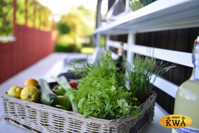 Кухня Aminne 878207