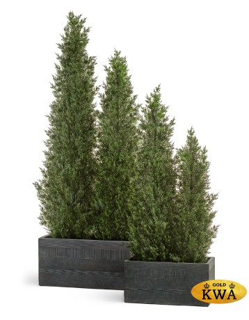 Кашпо TREEZ ERGO Graphics Низкий прямоугольник Окись с медной патиной дл-80, в-37, ш-37 см