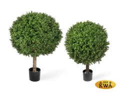 Самшит Шар уличный новый в-55, д-40 см 2/2