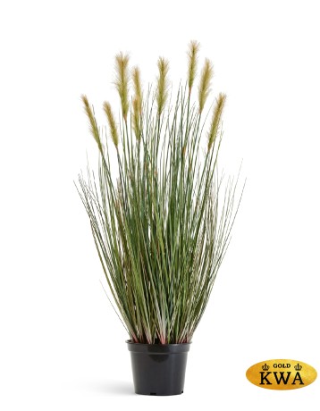 Трава Осока Элеганс куст в-90, д-30 см с зелёными султанами 2/2