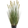 Трава Осока Элеганс куст в-90, д-30 см с зелёными султанами 2/2