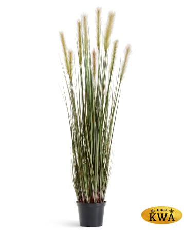 Трава Осока Элеганс куст в-90, д-30 см с зелёными султанами 2/2